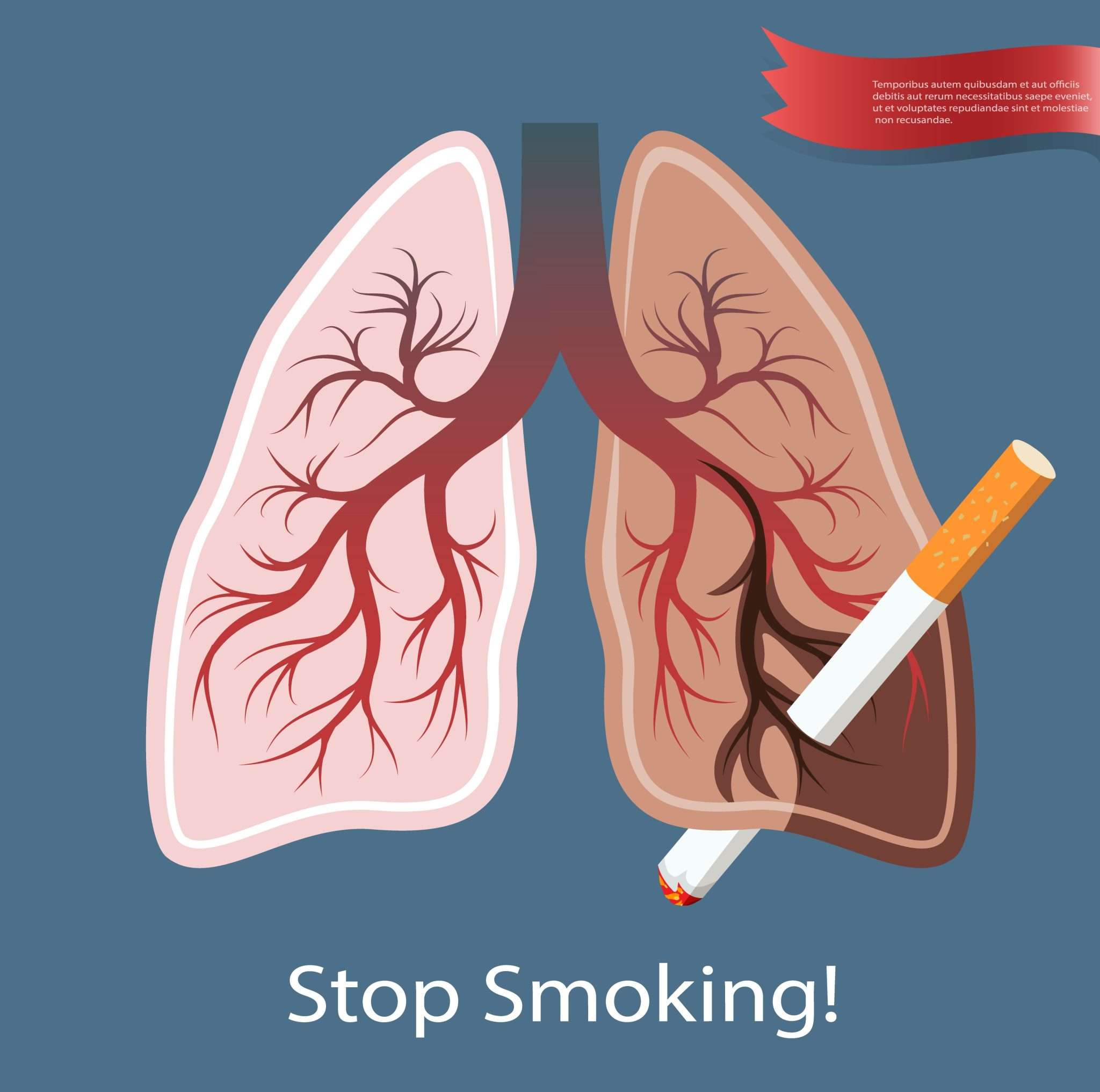 Smoking in public places should be banned? - 7C Report